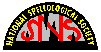 NSS Logo